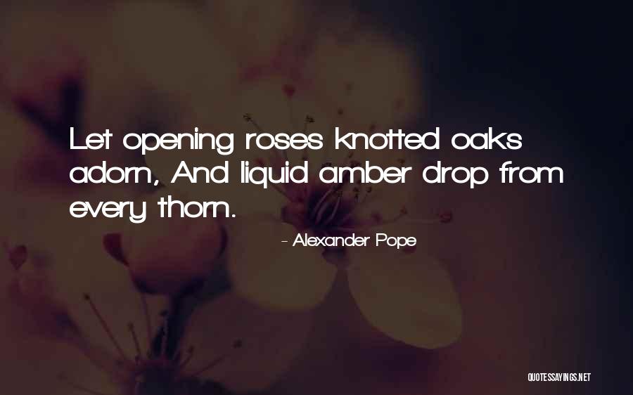 Missing Your Dad On Christmas Quotes By Alexander Pope Missing Your Dad On Christmas Quotes By Alexander Pope