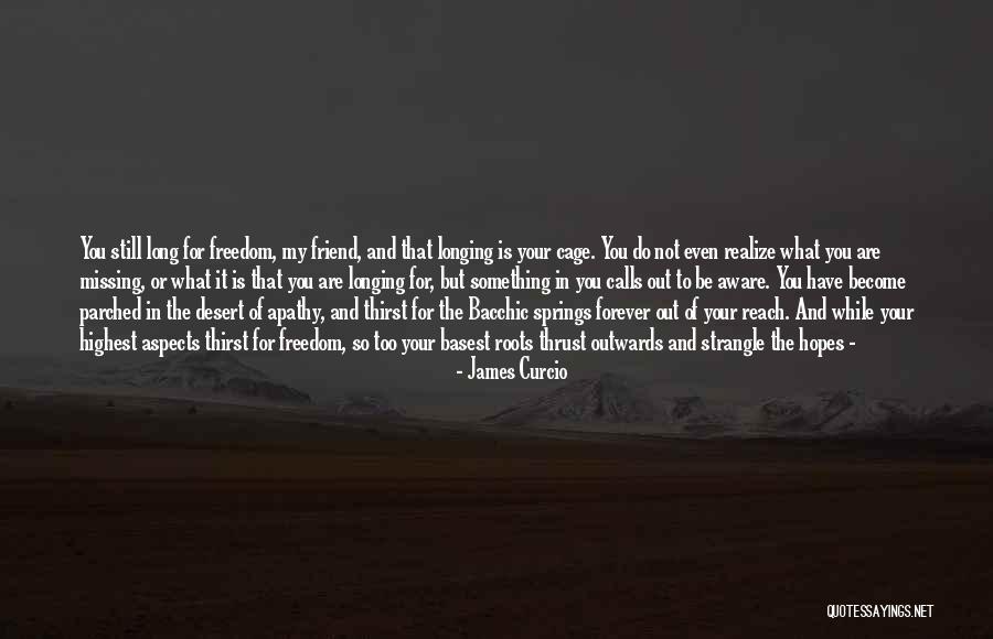 Missing Your Ex Best Friend Quotes By James Curcio Missing Your Ex Best Friend Quotes By James Curcio