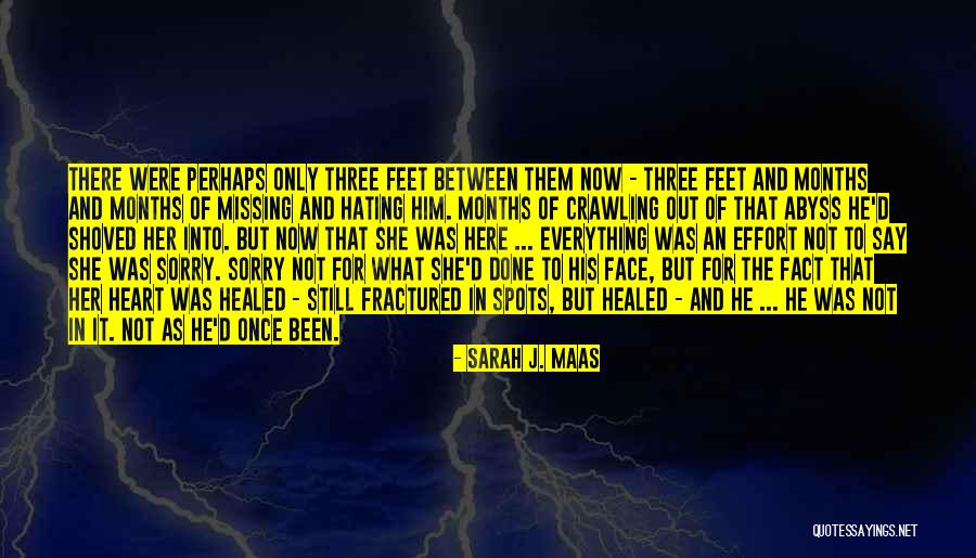 Missing Your Face Quotes By Sarah J. Maas