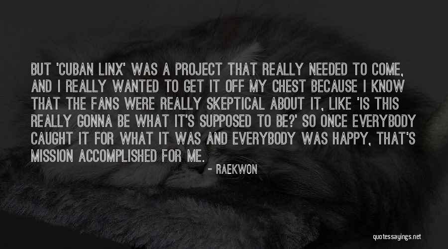 Mission Accomplished Quotes By Raekwon