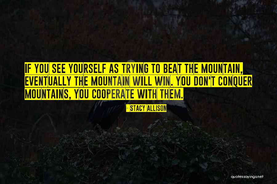 Mission Altamirano Quotes By Stacy Allison Mission Altamirano Quotes By Stacy Allison