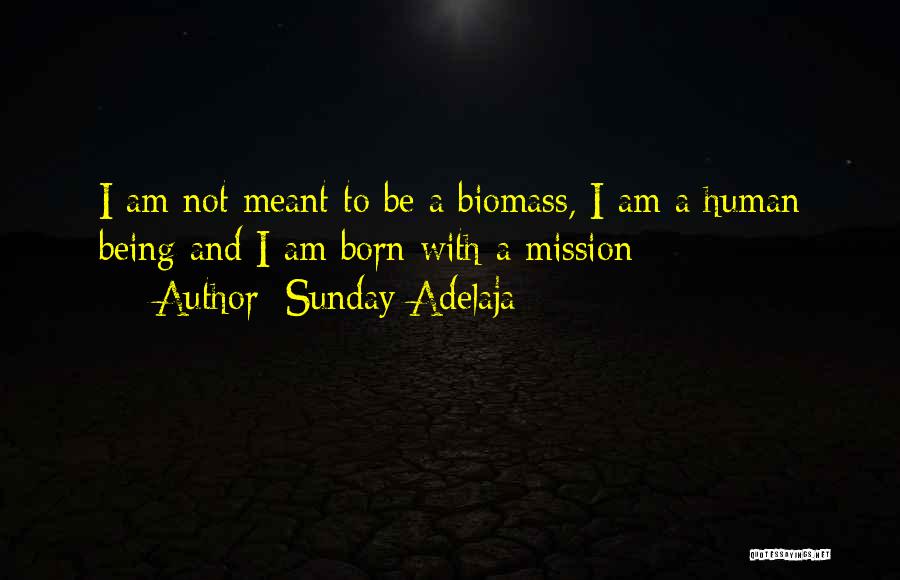 Mission And Purpose Quotes By Sunday Adelaja