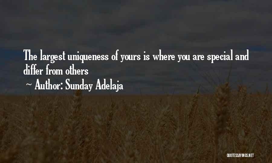 Mission And Purpose Quotes By Sunday Adelaja