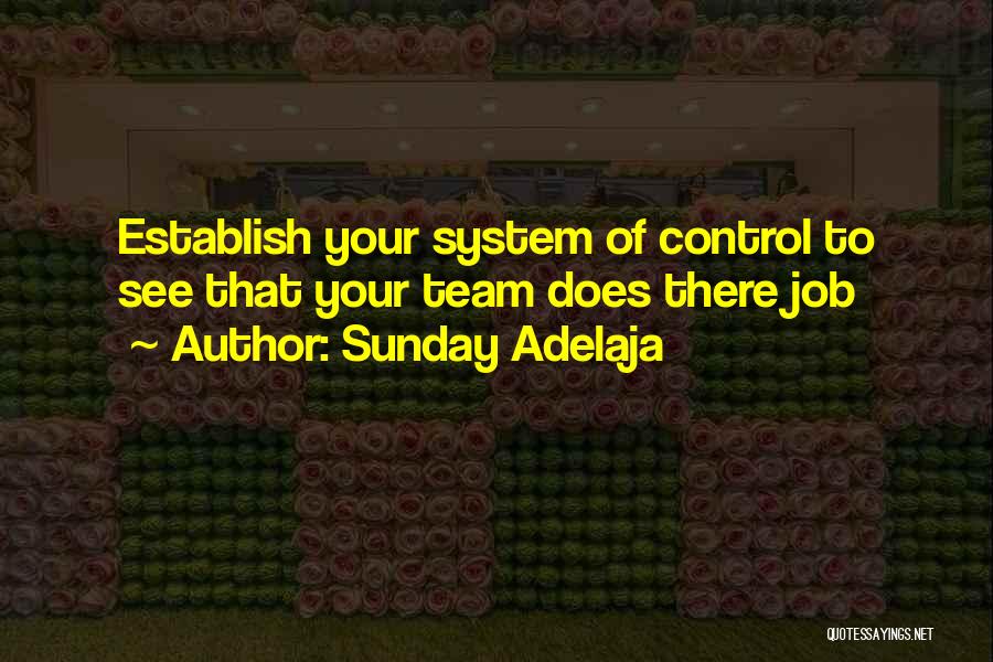 Mission Control Quotes By Sunday Adelaja