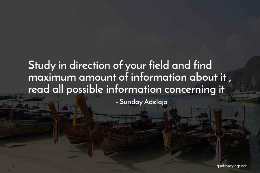 Mission Field Quotes By Sunday Adelaja