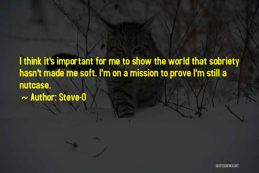 Mission Quotes By Steve-O