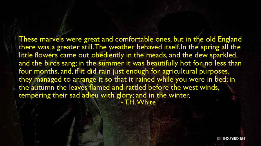 Mississippi State University Quotes By T.H. White Mississippi State University Quotes By T.H. White