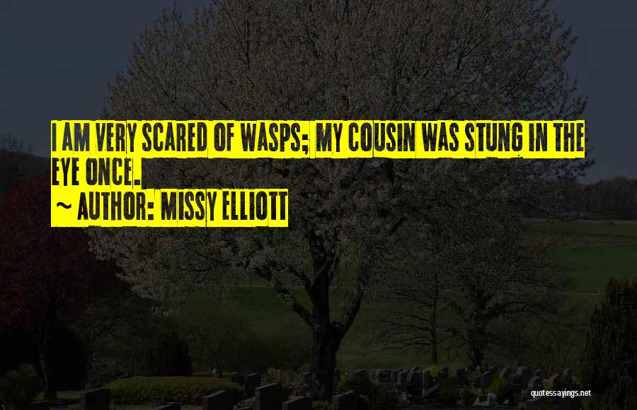Missy Elliott Quotes 263987