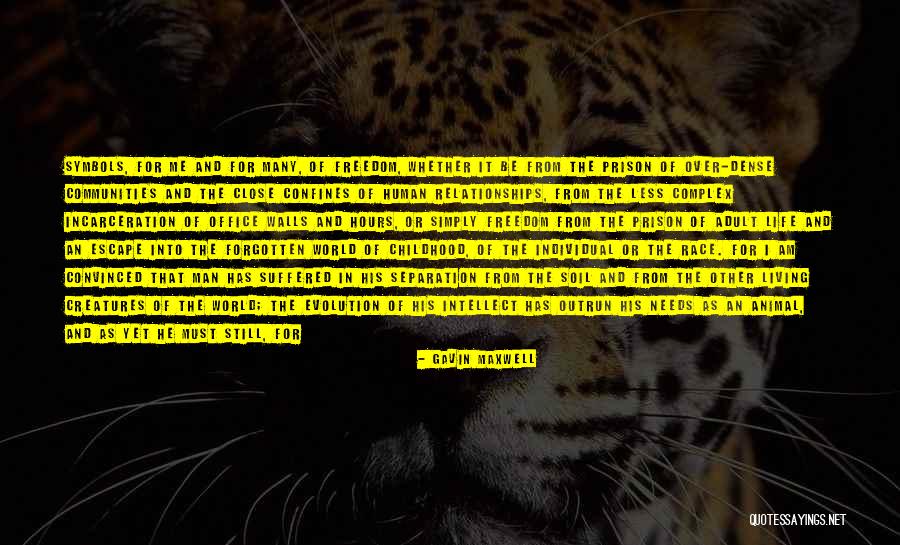 Missyee Quotes By Gavin Maxwell Missyee Quotes By Gavin Maxwell