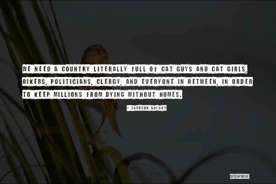 Missyennii Quotes By Jackson Galaxy Missyennii Quotes By Jackson Galaxy