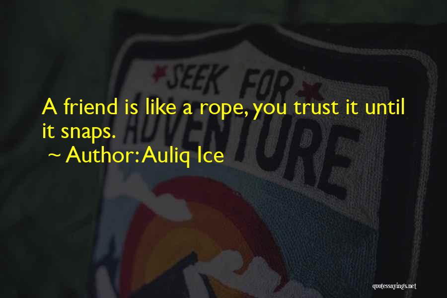 Mistaken Friendship Quotes By Auliq Ice
