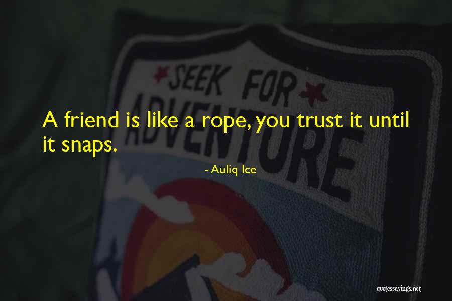 Mistaken Friendship Quotes By Auliq Ice