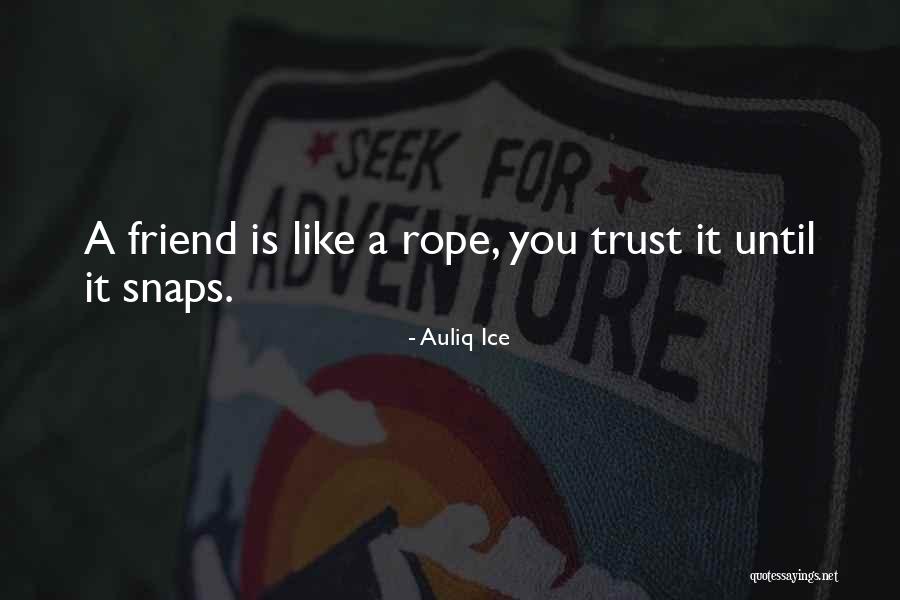 Mistaken Trust Quotes By Auliq Ice Mistaken Trust Quotes By Auliq Ice
