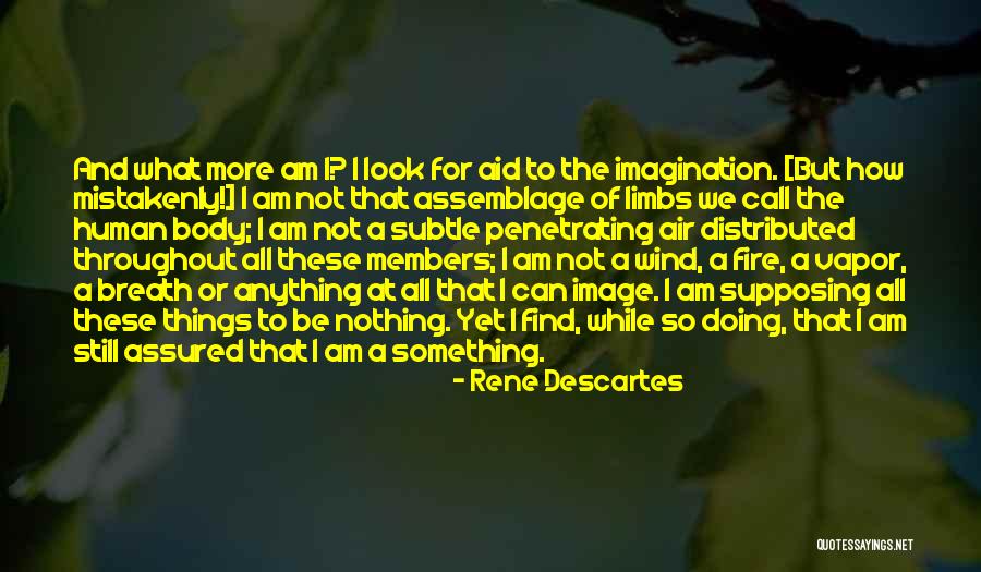 Mistakenly Quotes By Rene Descartes Mistakenly Quotes By Rene Descartes