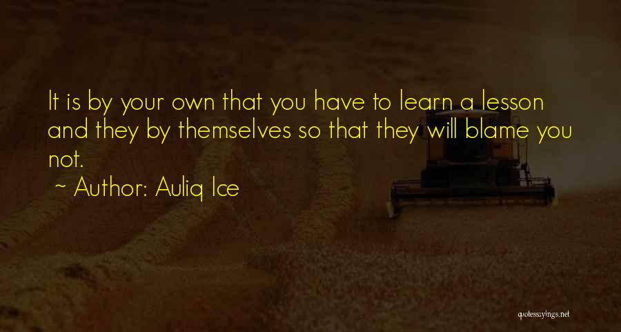 Mistakes And Lessons Quotes By Auliq Ice