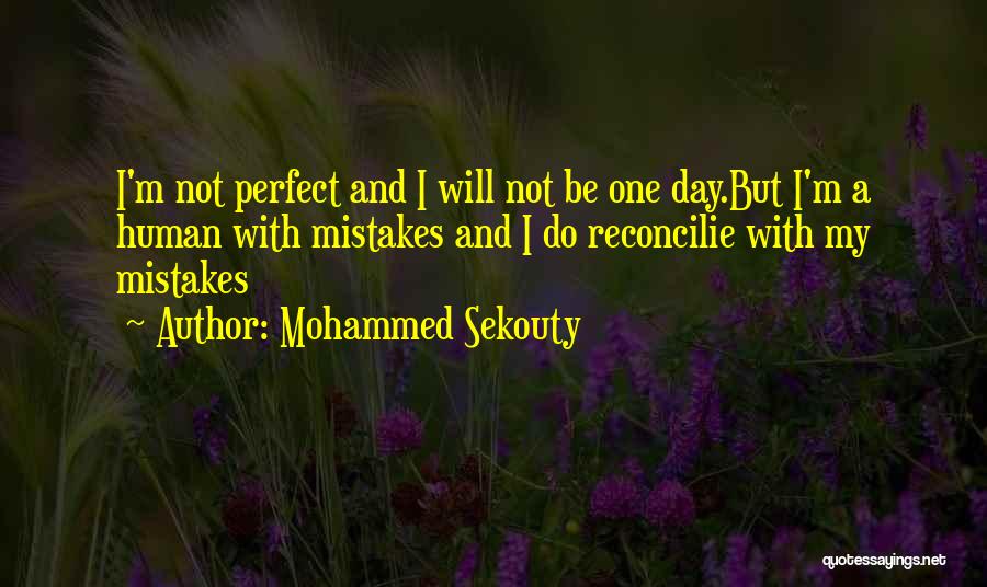 Mistakes And Perfection Quotes By Mohammed Sekouty