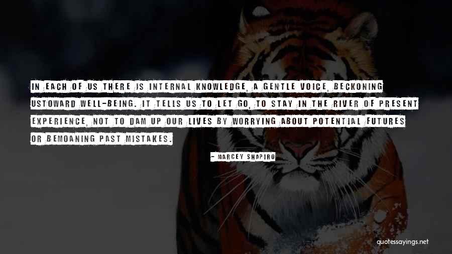 Mistakes In The Past Quotes By Marcey Shapiro Mistakes In The Past Quotes By Marcey Shapiro