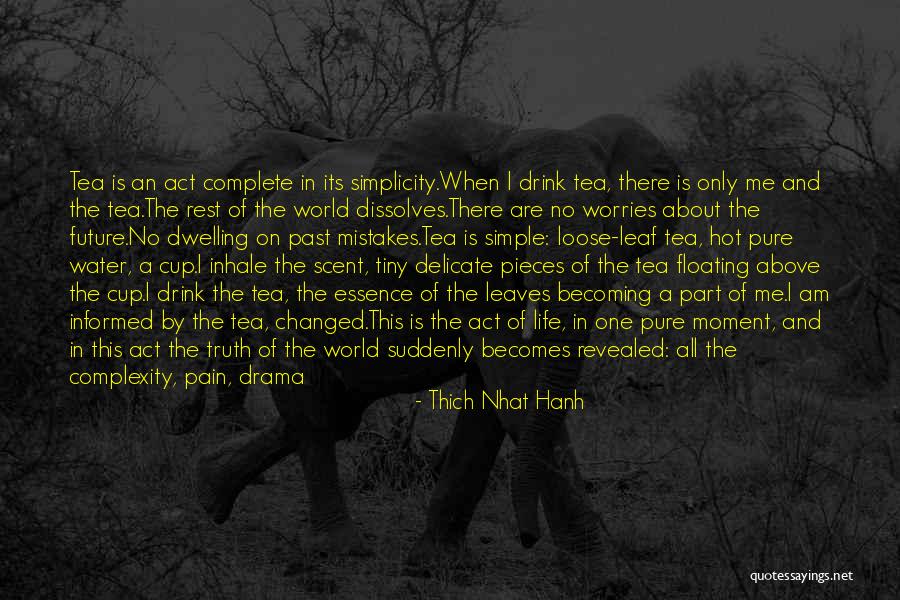 Mistakes In The Past Quotes By Thich Nhat Hanh Mistakes In The Past Quotes By Thich Nhat Hanh