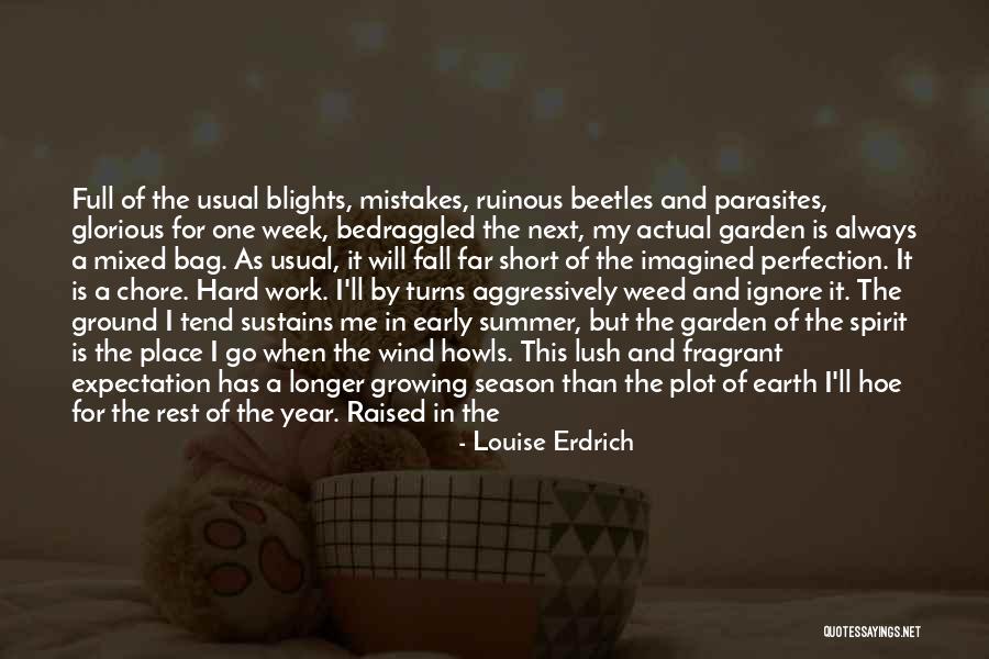 Mistakes In Work Quotes By Louise Erdrich Mistakes In Work Quotes By Louise Erdrich
