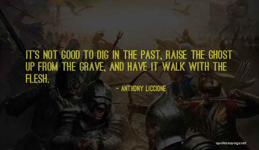 Mistakes In Your Past Quotes By Anthony Liccione