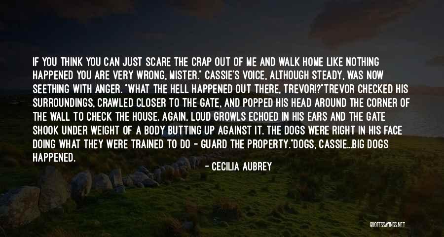 Mister Right Quotes By Cecilia Aubrey Mister Right Quotes By Cecilia Aubrey