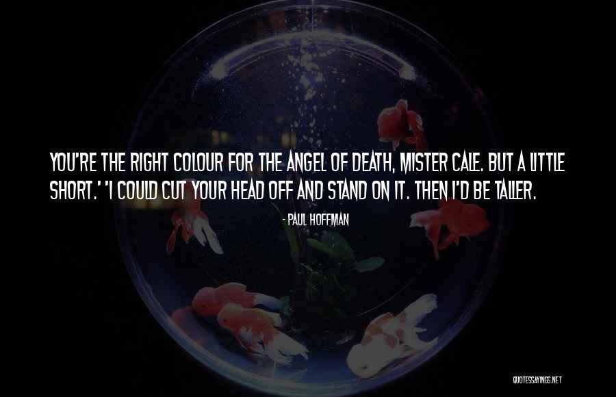 Mister Right Quotes By Paul Hoffman Mister Right Quotes By Paul Hoffman