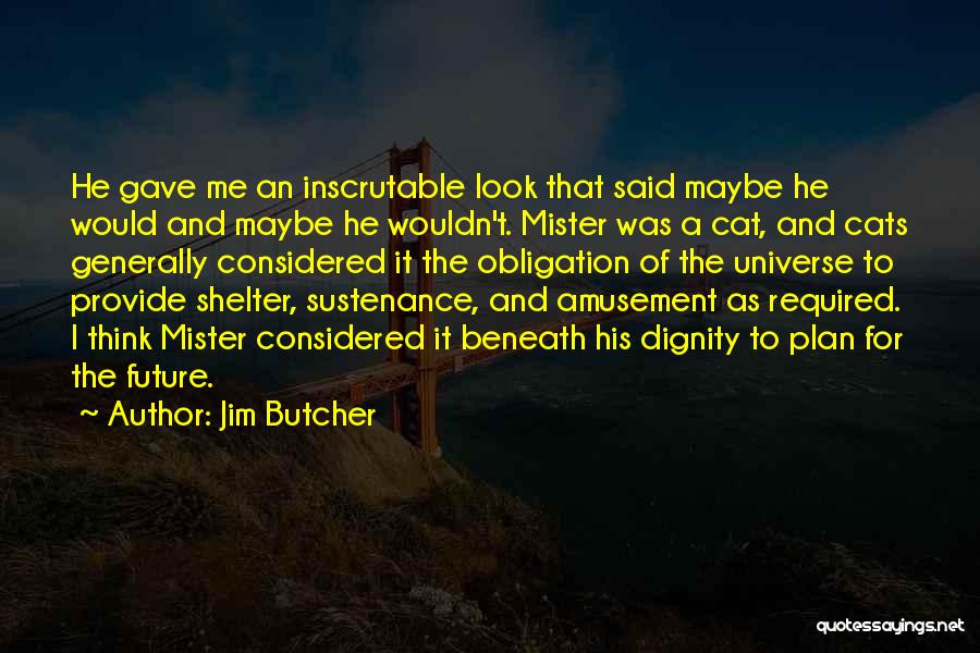Mister T Quotes By Jim Butcher