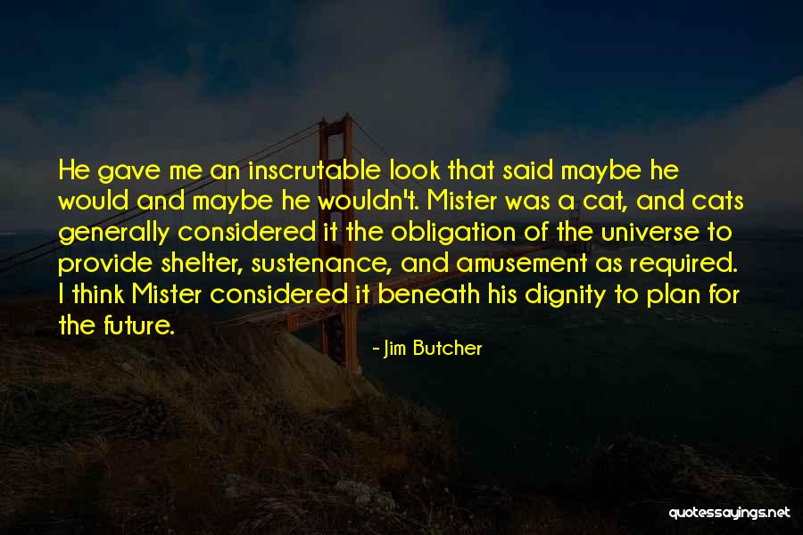 Mister T Quotes By Jim Butcher