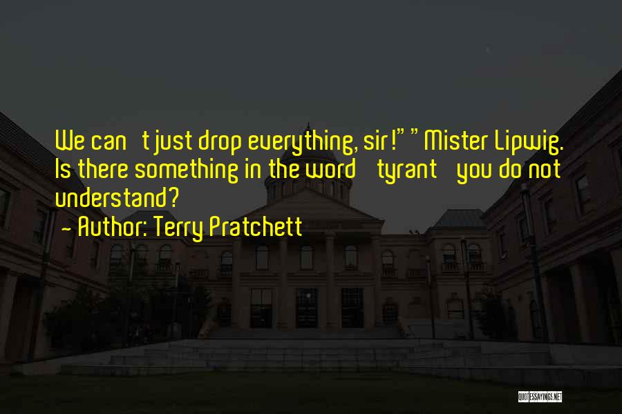 Mister T Quotes By Terry Pratchett