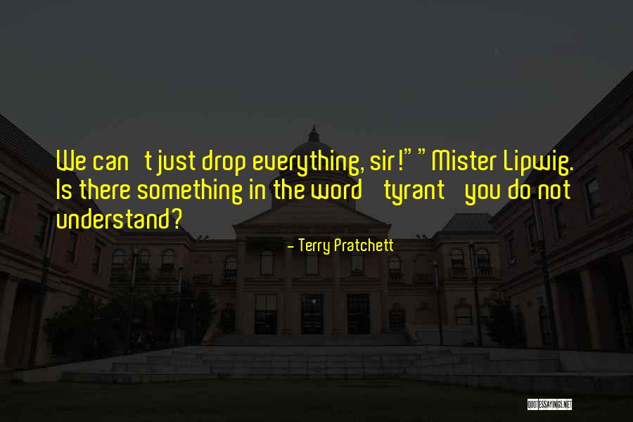 Mister T Quotes By Terry Pratchett