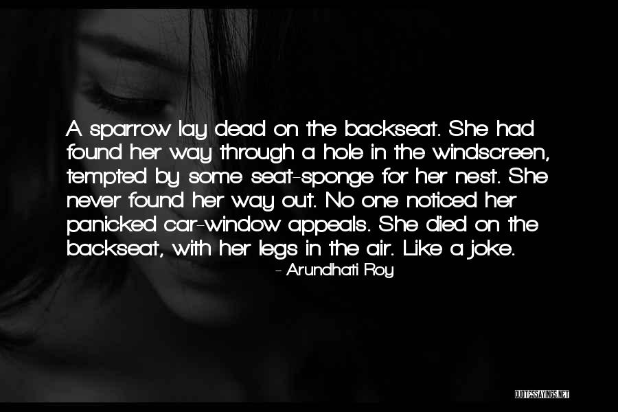 Misterioso Wrestler Quotes By Arundhati Roy Misterioso Wrestler Quotes By Arundhati Roy