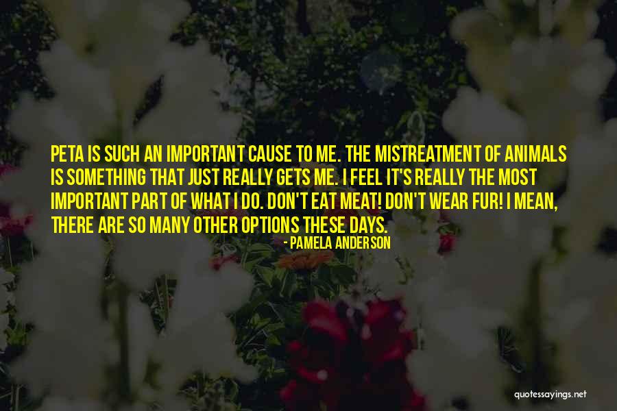 Mistreatment Of Animals Quotes By Pamela Anderson