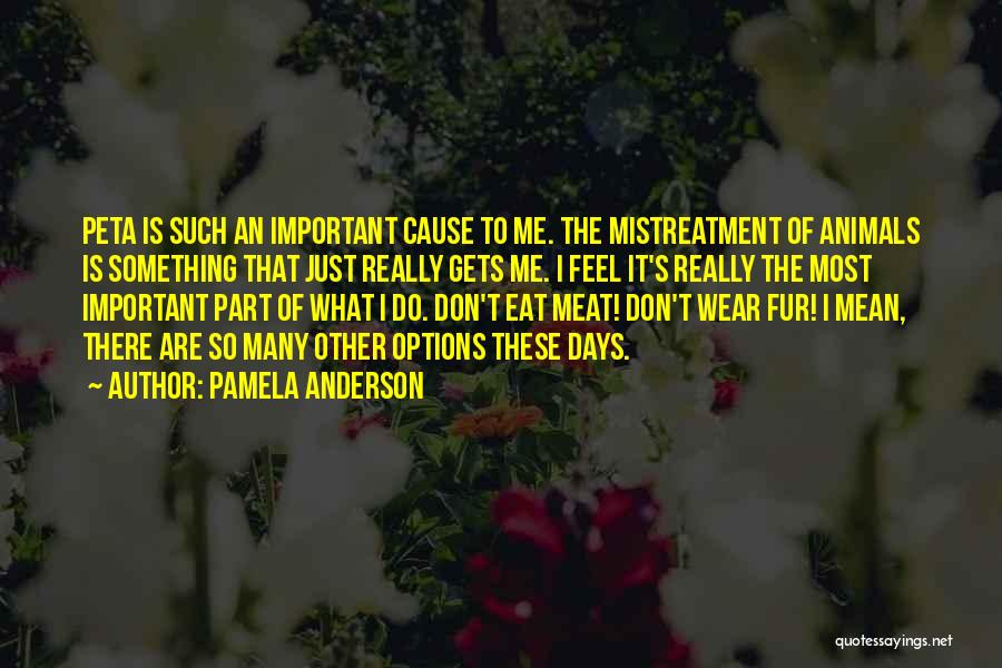 Mistreatment Quotes By Pamela Anderson