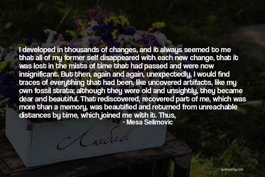 Mists Of Time Quotes By Mesa Selimovic Mists Of Time Quotes By Mesa Selimovic