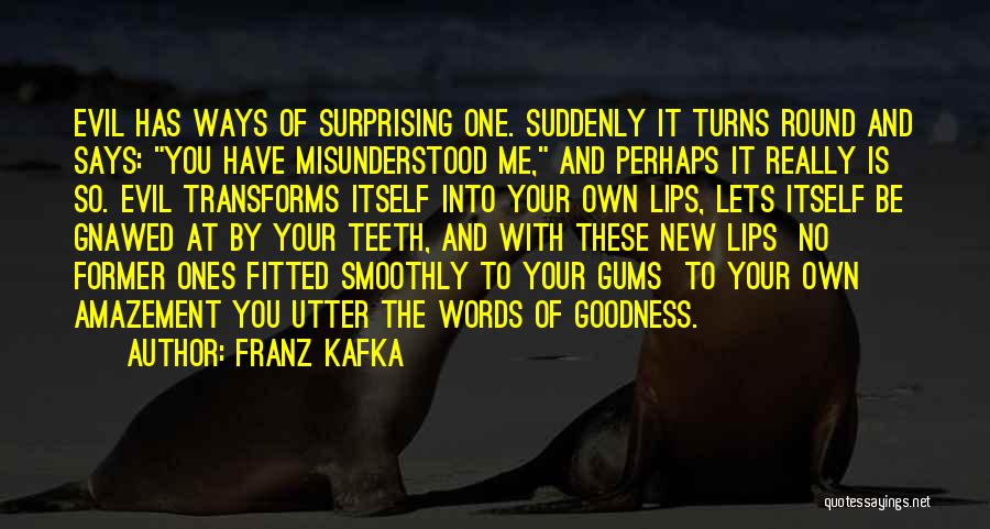 Misunderstood Evil Quotes By Franz Kafka