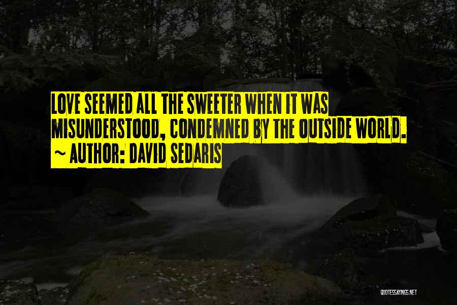 Misunderstood Love Quotes By David Sedaris