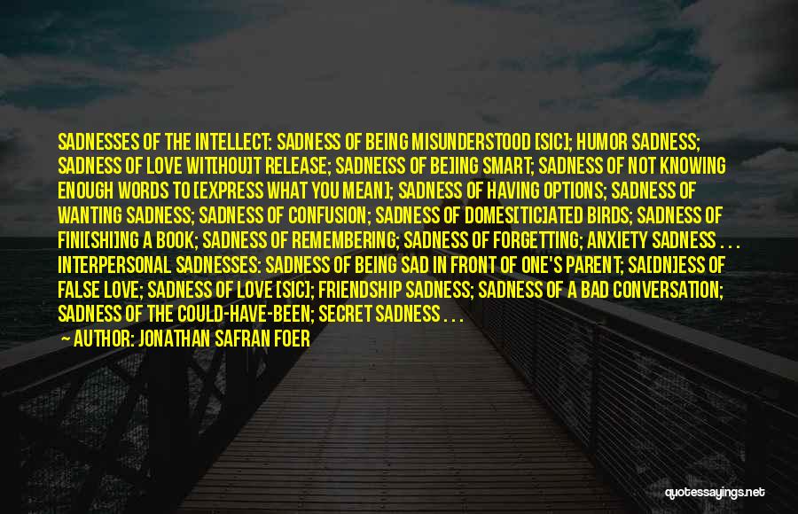 Misunderstood Love Quotes By Jonathan Safran Foer