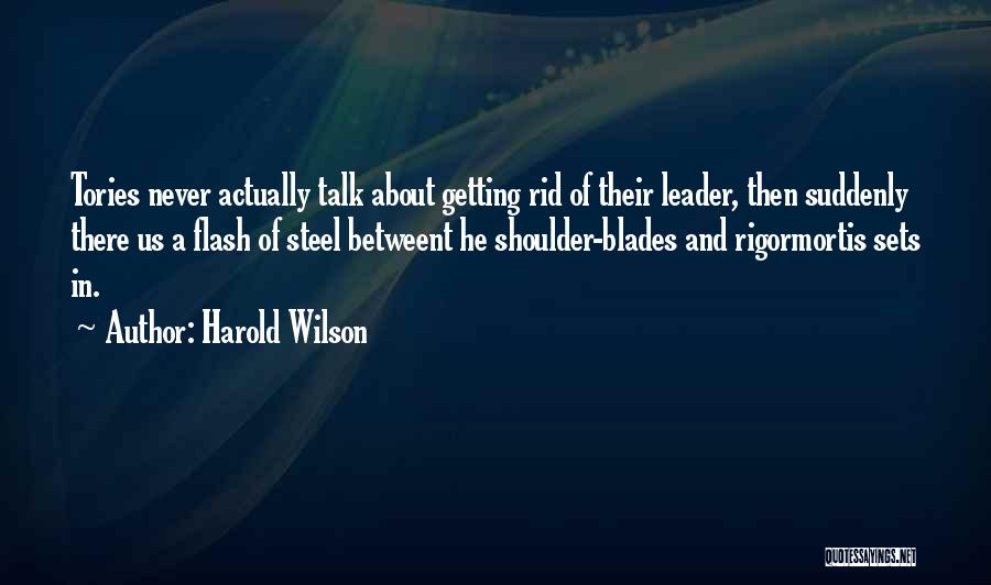 Misurinasee Quotes By Harold Wilson