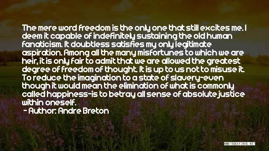 Misuse Me Quotes By Andre Breton