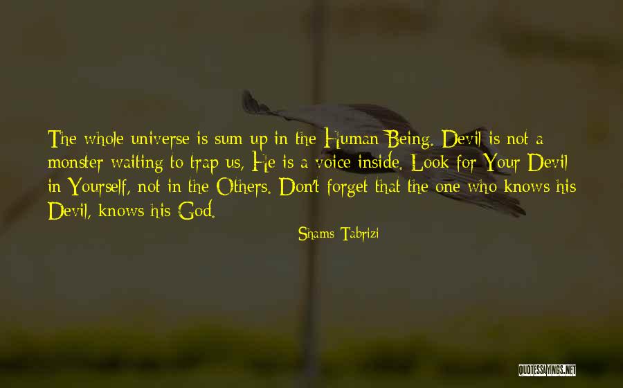 Mitacs Scholarship Quotes By Shams Tabrizi Mitacs Scholarship Quotes By Shams Tabrizi