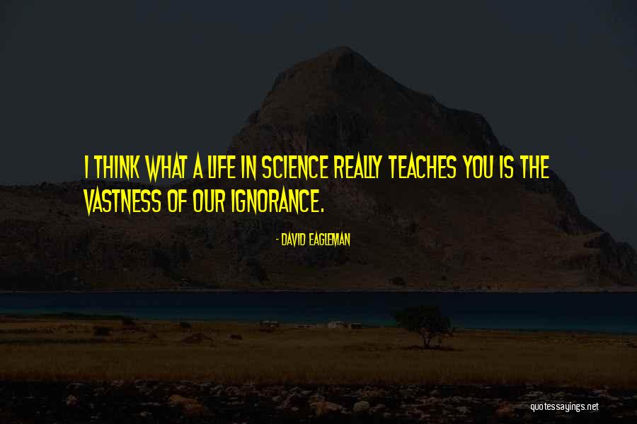 Mitades Tercios Quotes By David Eagleman Mitades Tercios Quotes By David Eagleman