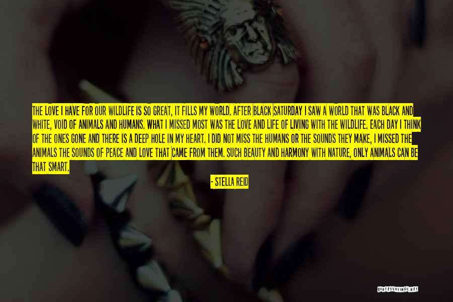 Mitama Yakumo Quotes By Stella Reid Mitama Yakumo Quotes By Stella Reid