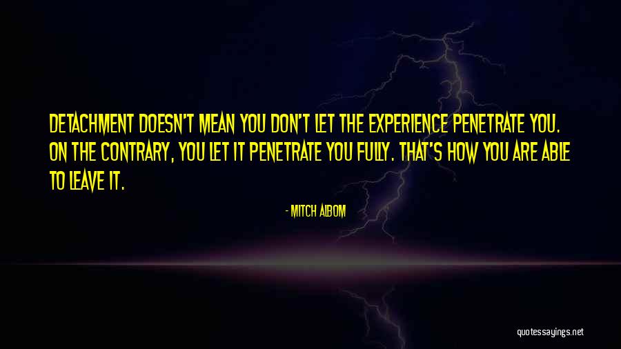 Mitch Albom Tuesdays With Morrie Quotes By Mitch Albom Mitch Albom Tuesdays With Morrie Quotes By Mitch Albom