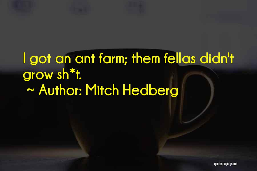 Mitch Hedberg Quotes 2104678