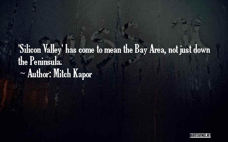 Mitch Kapor Quotes 1465153