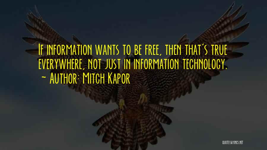 Mitch Kapor Quotes 1494138