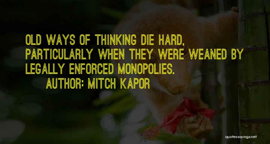 Mitch Kapor Quotes 982550