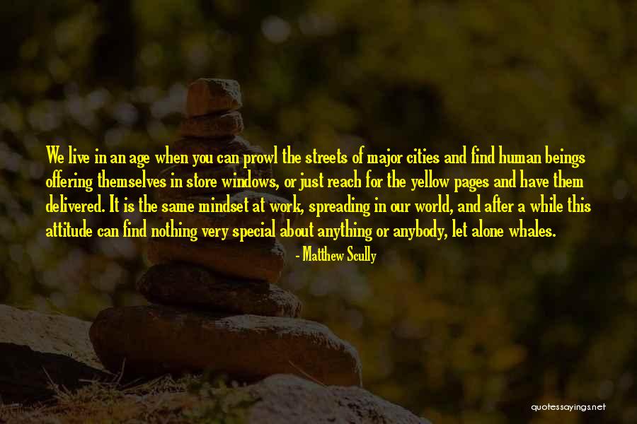 Mitch Muscle Man Sorenstein Quotes By Matthew Scully Mitch Muscle Man Sorenstein Quotes By Matthew Scully