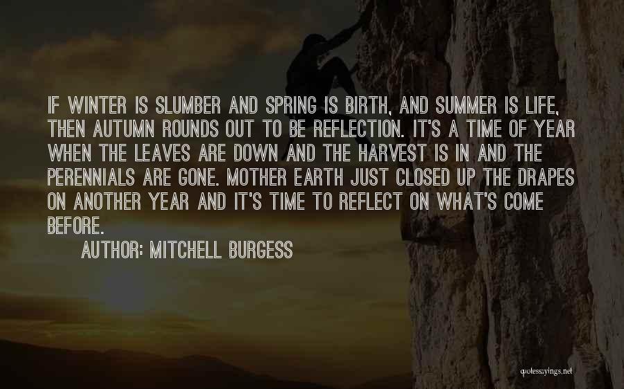 Mitchell Burgess Quotes 1203291