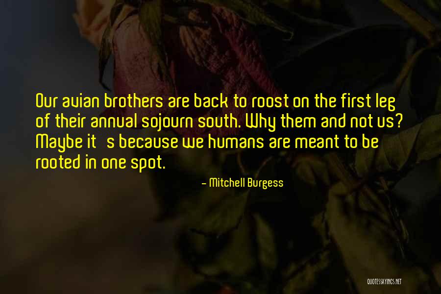 Mitchell Burgess Quotes 947102